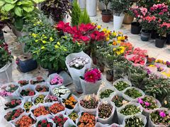 -双季花艺园艺市场(浦东店)