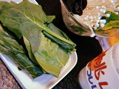 -川大刘肥肠鸡(北国店)