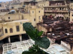 -穆莱拉赫制革厂