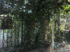 -小仙居·农家宴烤羊· 农庄