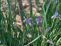 -天津东丽湖风景区