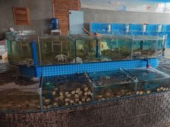 -蓝珊海鲜澳洲和牛自助餐厅