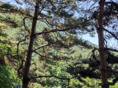 -丹东凤凰山景区
