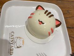 -猫小院猫主题咖啡厅(北锣店)