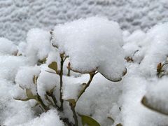 -滨河世纪广场公园