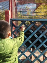 -萌宠亲子动物乐园(槐房万达店)