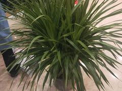 -尤雅养生·影院足道·SPA(金沙江路店)