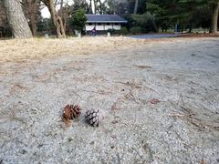 -京都御所