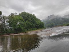 -九曲溪竹筏码头