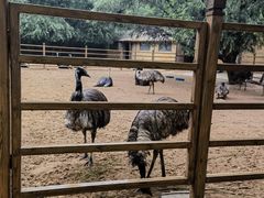 -秦皇岛野生动物园