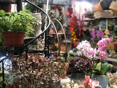 -双季花艺园艺市场(浦东店)