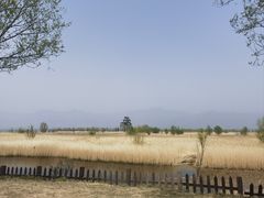 -野鸭湖国家湿地公园