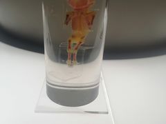 -生命奥秘博物馆