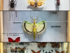 -大连自然博物馆