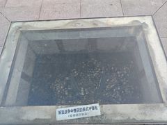 -吴淞炮台湾湿地森林公园烧烤区