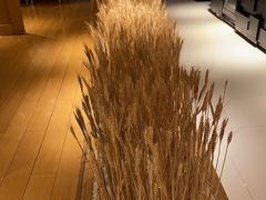 -西村日本料理(香格里拉饭店)