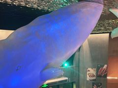 -虾胡闹龙虾馆(湄南河店)