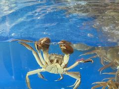-阳澄湖大闸蟹·琼灵阁牌品牌连锁(吴中总店)