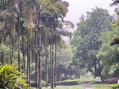 -重庆彩云湖湿地公园