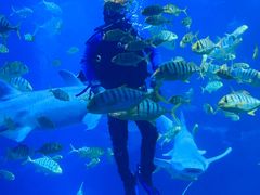 -太平洋海底世界