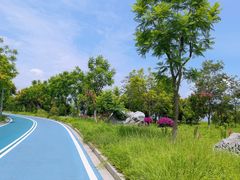 -西昌邛海湿地