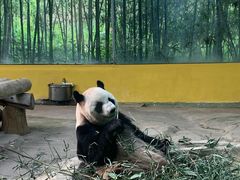 -杭州野生动物世界