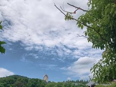 -庐山风景名胜区-东林大佛