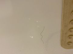 浴缸里的毛发-北京民族饭店