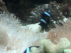 -苏州海洋馆
