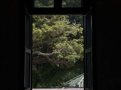 -长洲岛
