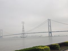 -海鸥岛
