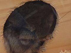 -龙猫仔乐园(惠福东路店)