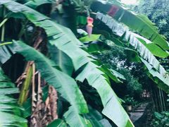 -福建鲤鱼洲酒店