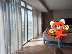 -深圳国际会展中心希尔顿酒店(前海华发冰雪世界店)
