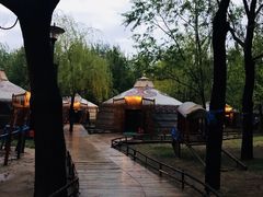 -蒙古大营(朝阳公园店)