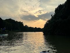 -海珠湖公园