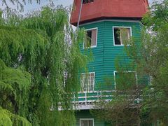 -洛阳郁金香牡丹园