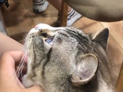 -白兔子密室(长寿路店)