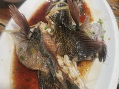 -蓝湾碧波·老字号·疍家非遗海上餐厅