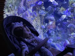 -太平洋海底世界