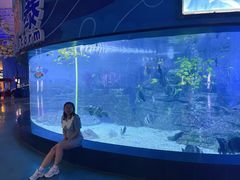 -烟台海昌鲸鲨海洋公园