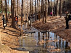 -白水寺森林公园