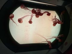 -沈阳海洋探索中心