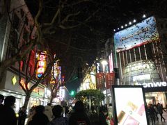 -九斤黄三黄鸡专卖店