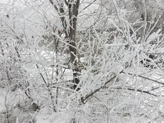 -水磨沟公园