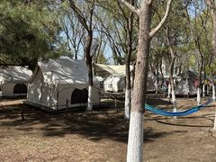 -长白岛森林公园