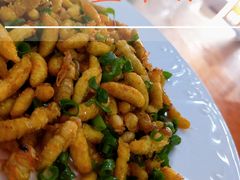 -红炎炎农家菜老字号(金水台店)