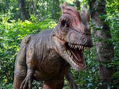 -宝晶宫旅游景区