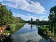 -大兴滨河森林公园