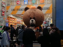 -line friends(明洞旗舰店)